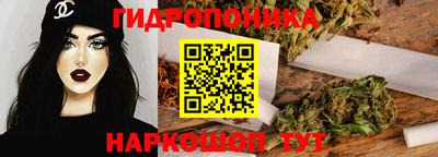прущие крисы Кингисепп