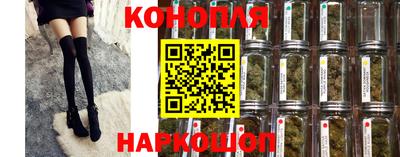 прущие грибы Кимры