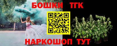 прущие крисы Кингисепп