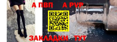 прущие крисы Кингисепп
