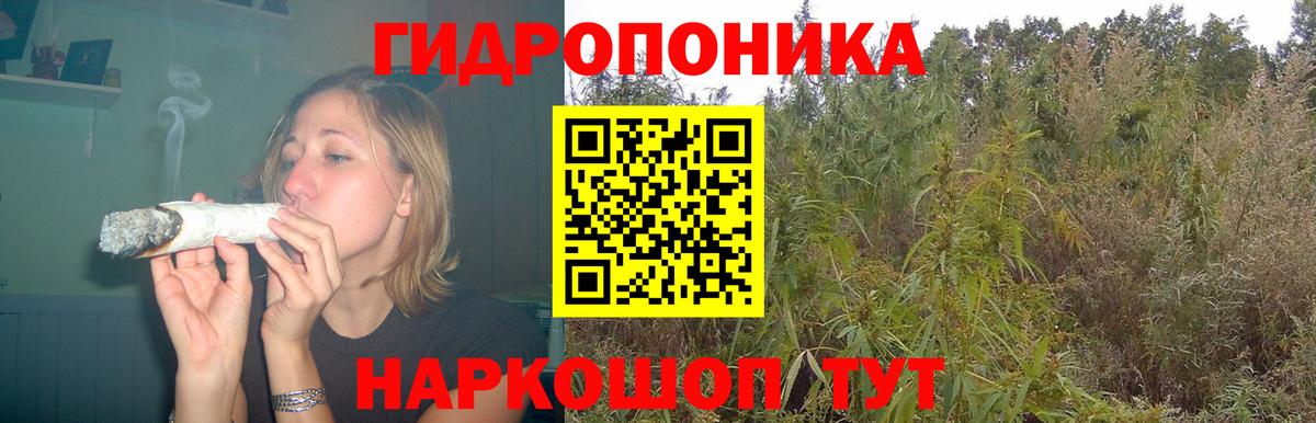 Шишки марихуана Amnesia Киров